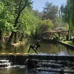 达尔亚莱夫酒店