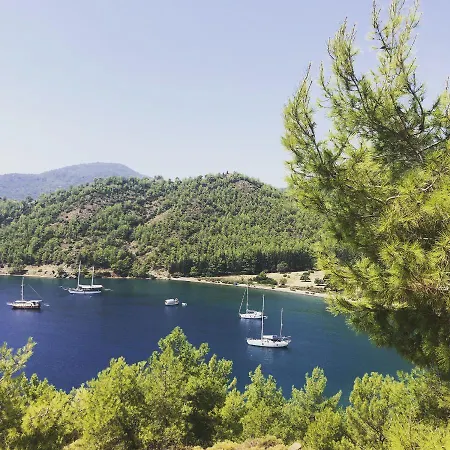 Dalya Life Göcek