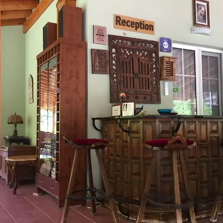 Dalya Life 3* ギョジェク