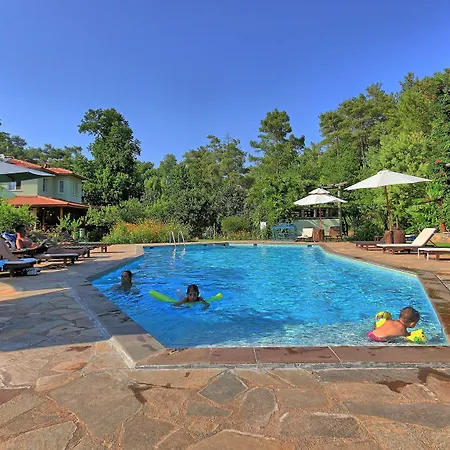 Dalya Life ホテル ギョジェク