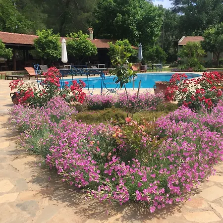 Dalya Life ホテル 3*