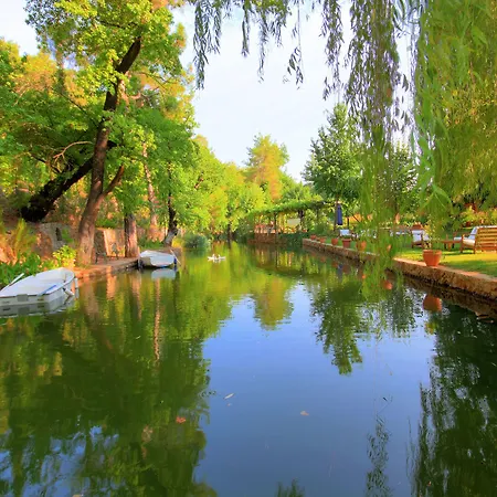 ホテル Dalya Life 3*