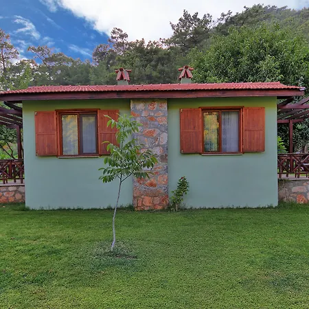 Dalya Life ホテル 3*