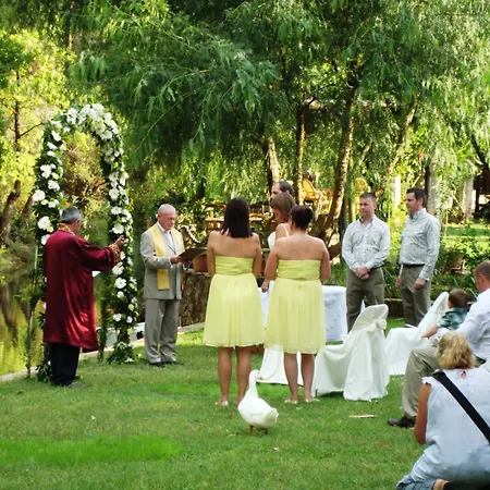 Dalya Life ホテル ギョジェク