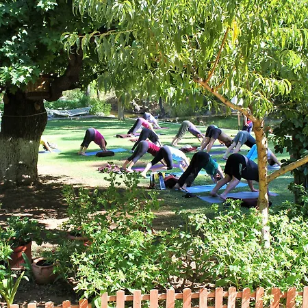 Dalya Life Hotel Göcek