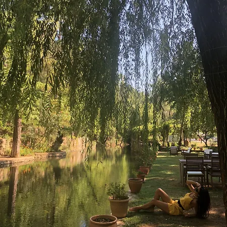 Dalya Life ホテル 3*