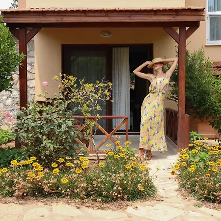 Dalya Life ギョジェク