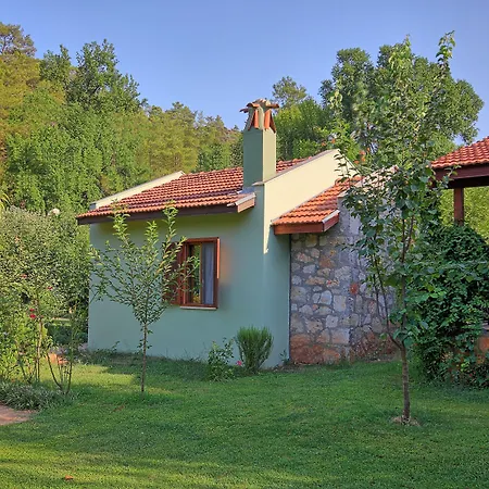 Dalya Life ギョジェク