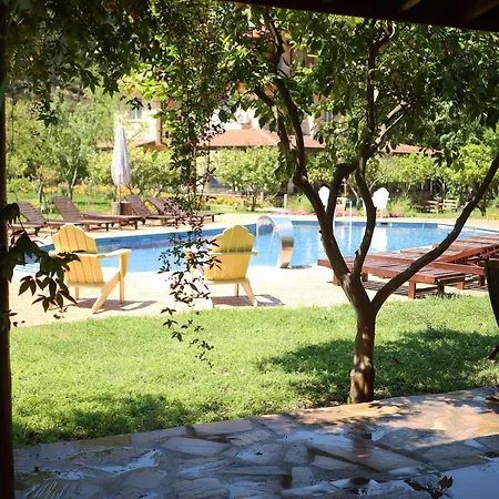 Hotel Dalya Life 3*