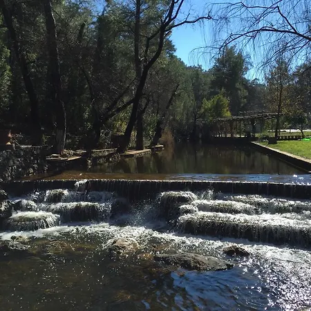 Dalya Life ギョジェク