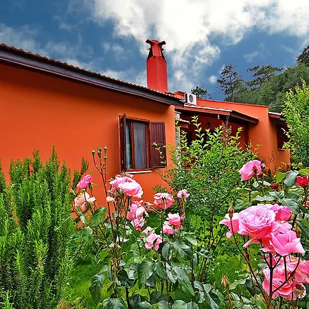 ホテル Dalya Life 3*