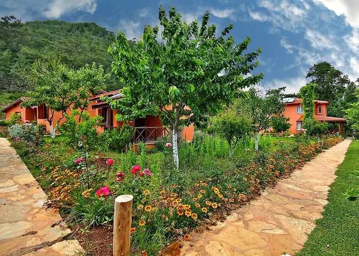 Otel Dalya Life Göcek