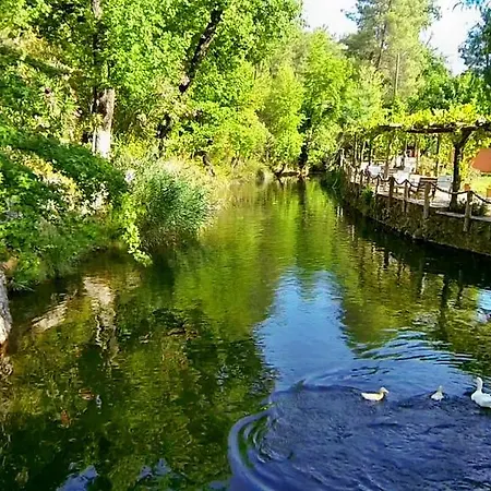 מלון Dalya Life 3*