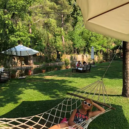 Dalya Life 3* Гёчек