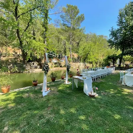 מלון Dalya Life 3*