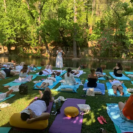 Отель Dalya Life