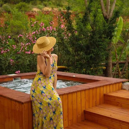 Dalya Life מלון גוג'ק