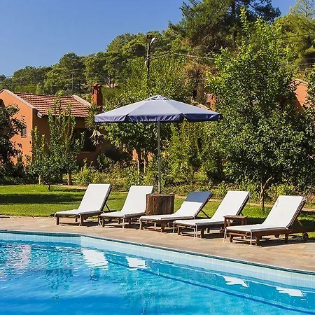 Hotel Dalya Life