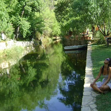 Hotel Dalya Life 3*