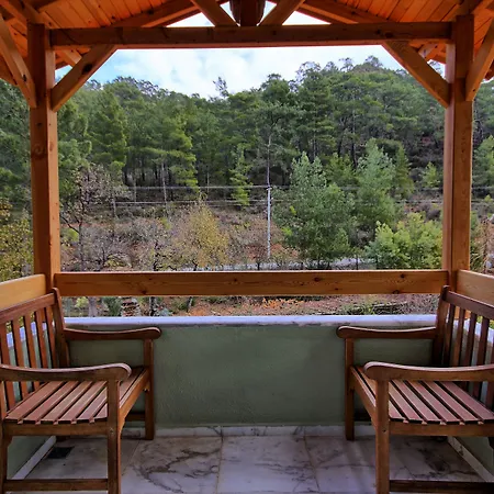 מלון Dalya Life 3*