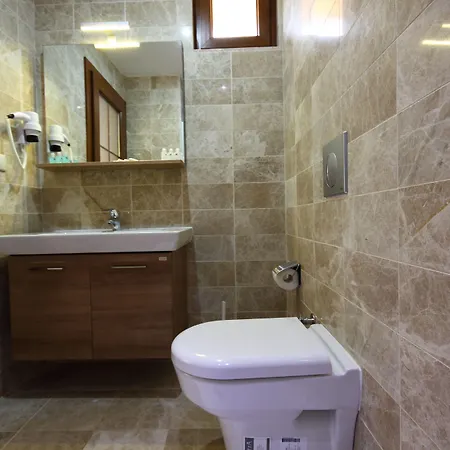 מלון Dalya Life גוג'ק