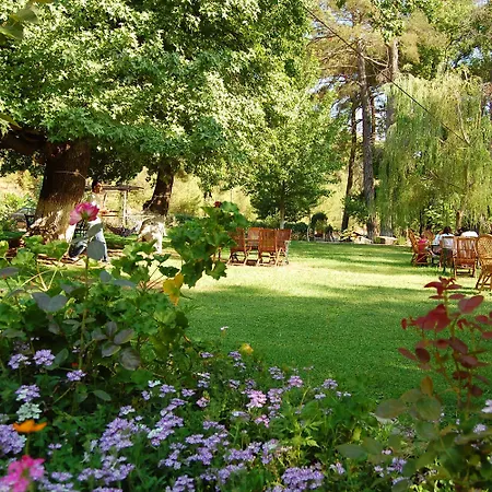 Hotell Dalya Life Göcek