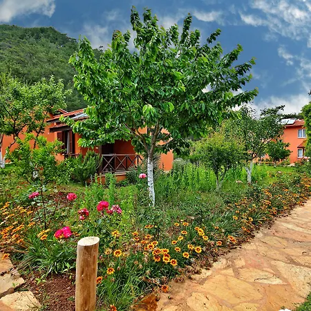 מלון Dalya Life גוג'ק