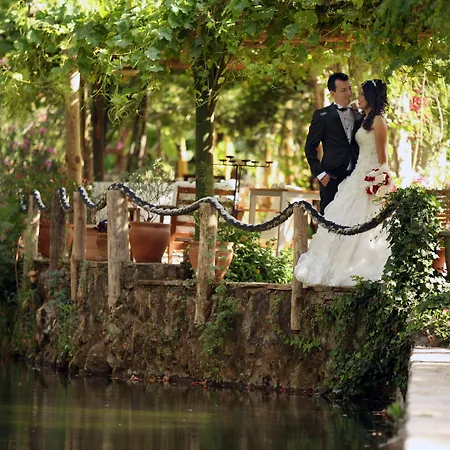 Dalya Life מלון 3*