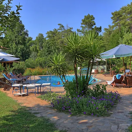 Dalya Life Гёчек