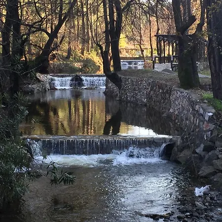 מלון Dalya Life גוג'ק