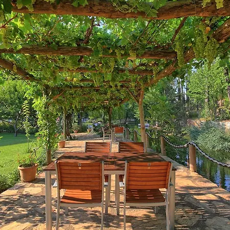 Dalya Life Hotell 3*