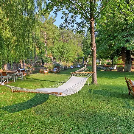 Hotel Dalya Life 3*