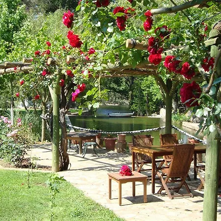 Hotell Dalya Life Göcek