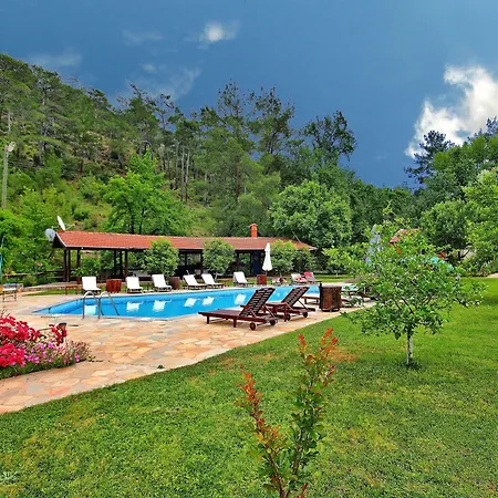 Hotel Dalya Life