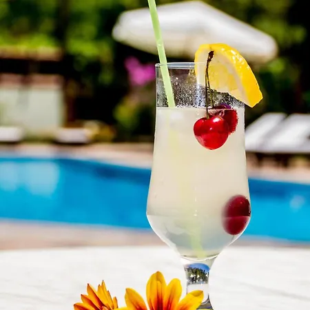 Hotel Dalya Life