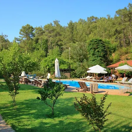 Dalya Life 3* Göcek