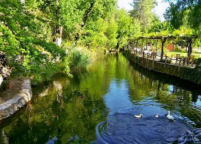 Отель Dalya Life 3*