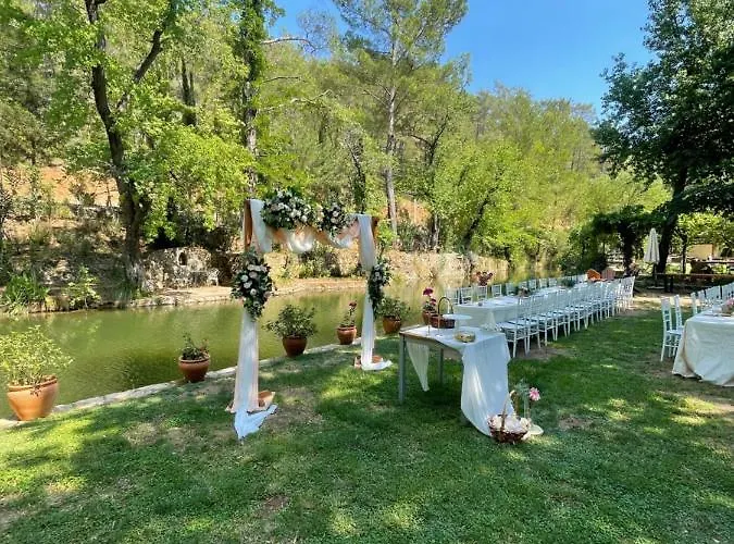 Отель Dalya Life 3*