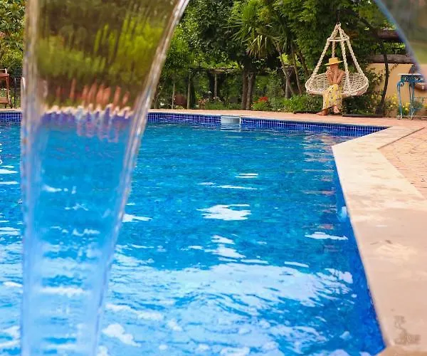 Ξενοδοχείο Dalya Life 3*