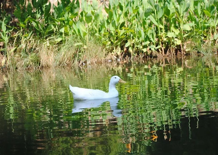 Dalya Life ホテル 3*