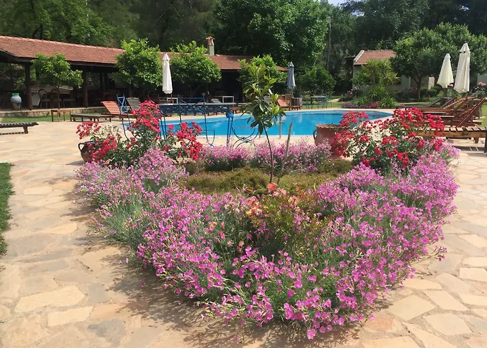 Dalya Life Отель 3*