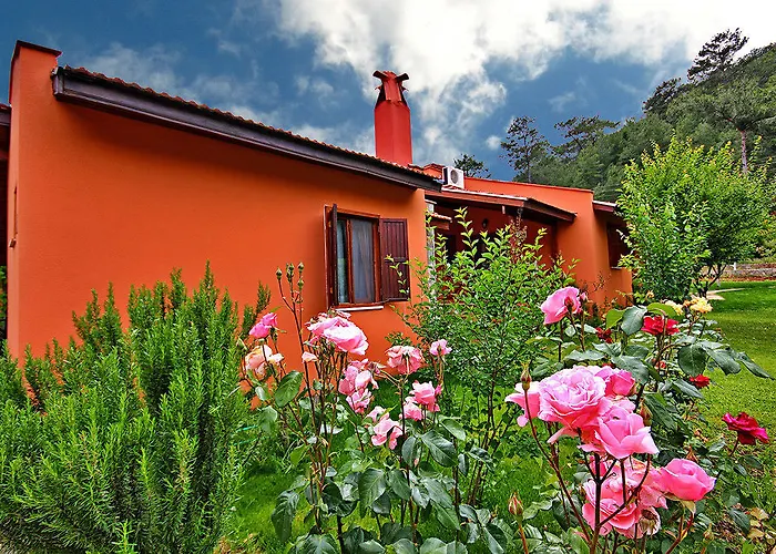 Отель Dalya Life 3*